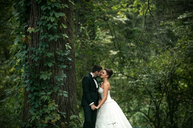 Hermosa pareja de novios posando en el bosque