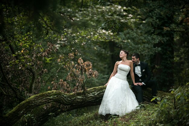 Hermosa pareja de novios sentados en el bosque en un árbol caído