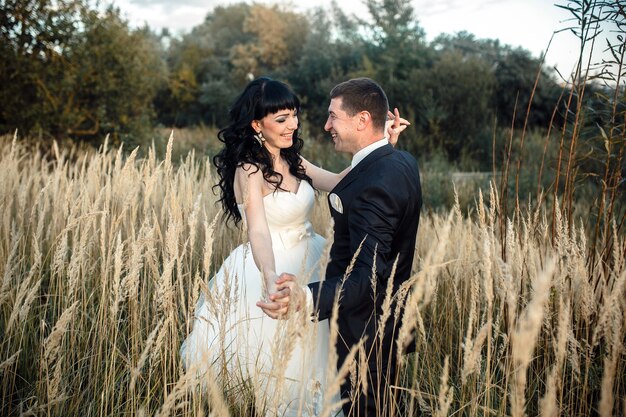 Hermosa pareja de novios sentados en el bosque en un árbol caído