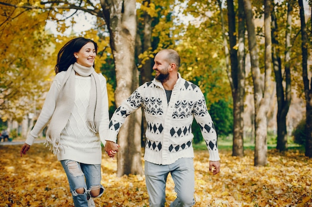 Hermosa pareja pasa tiempo en un parque de otoño