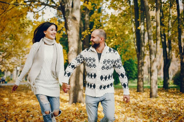 Hermosa pareja pasa tiempo en un parque de otoño