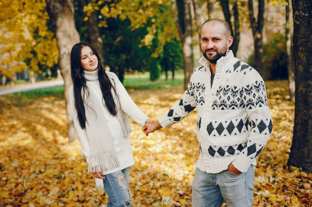 Hermosa pareja pasa tiempo en un parque de otoño