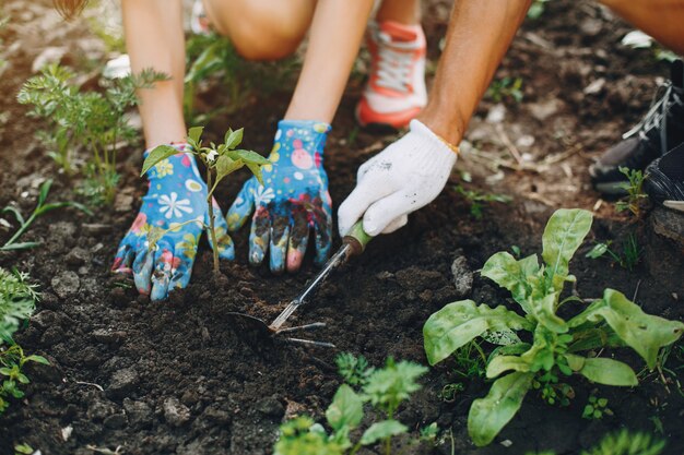 Hermosa pareja trabaja en un jardín