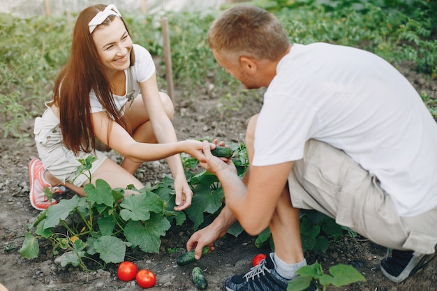 Hermosa pareja trabaja en un jardín