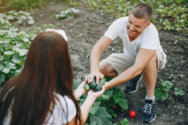 Foto gratuita hermosa pareja trabaja en un jardín