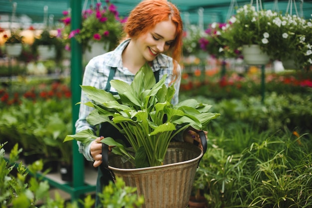 Hermosa pelirroja floristería sonriente en delantal trabajando con flores. Jovencita de pie con una gran flor en las manos