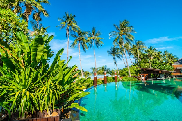 Hermosa piscina al aire libre con palmera de coco