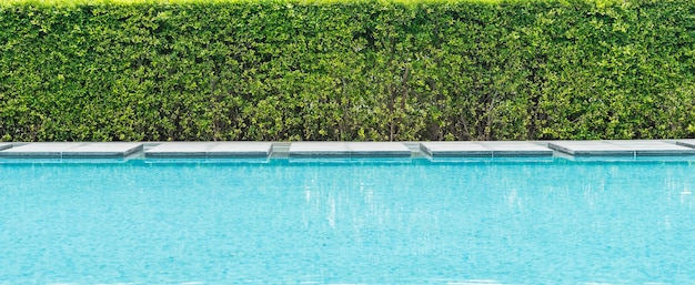 Hermosa piscina de lujo con palmeras