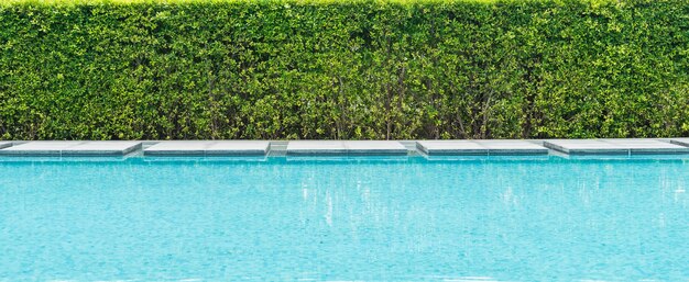 Hermosa piscina de lujo con palmeras