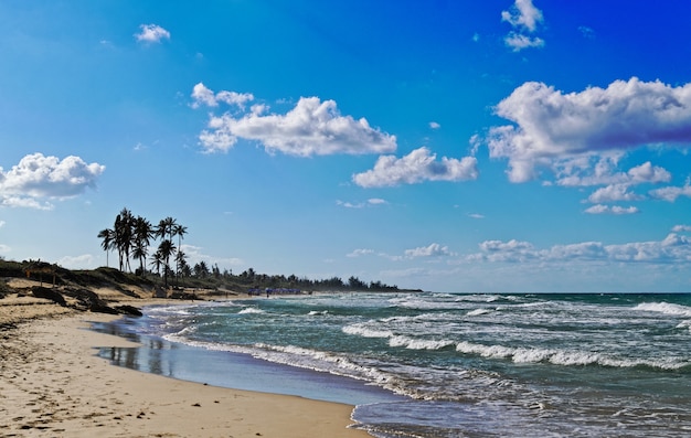 Hermosa playa de arena con palmeras y rocas en un día soleado