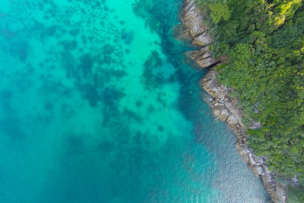 Foto gratuita hermosa playa atractiva la libertad bikini