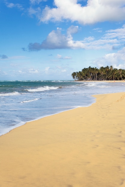 Hermosa playa caribeña en verano con palmeras