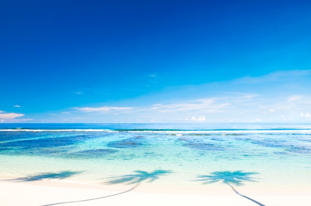 Foto gratuita hermosa playa con cielo azul