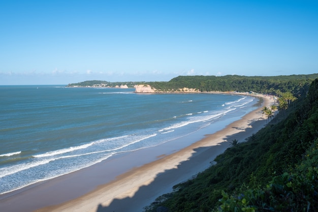 Hermosa playa cubierta de árboles por el océano tranquilo