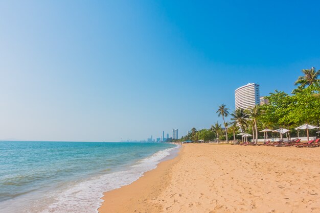 Hermosa playa y mar con palmera.