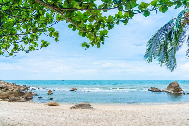 Hermosa playa tropical al aire libre alrededor del mar alrededor de la isla de Samui con palmeras de coco y otros