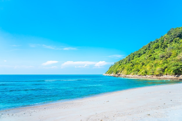 Hermosa playa tropical mar océano con coco y otro árbol alrededor de una nube blanca en el cielo azul