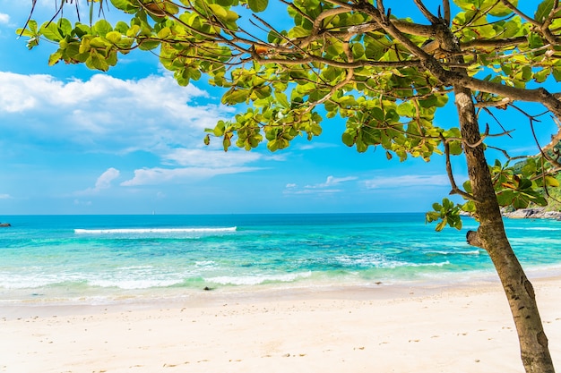 Hermosa playa tropical mar océano con coco y otro árbol alrededor de una nube blanca en el cielo azul