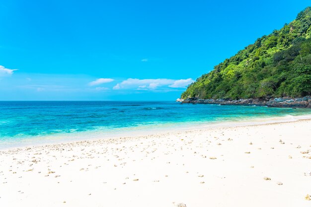 Hermosa playa tropical mar océano con coco y otro árbol alrededor de una nube blanca en el cielo azul