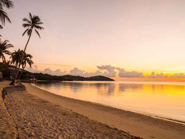 Hermosa playa tropical mar y océano con palmera de coco en el momento de la salida del sol