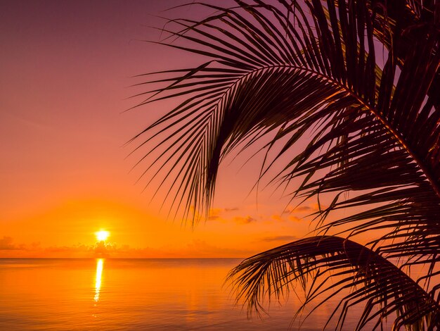 Hermosa playa tropical mar y océano con palmera de coco en el momento de la salida del sol