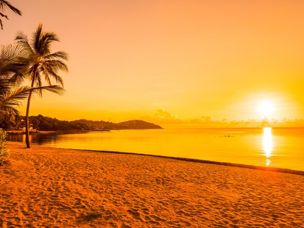 Hermosa playa tropical mar y océano con palmera de coco en el momento de la salida del sol