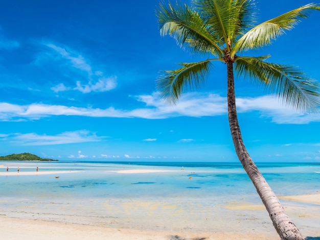 Foto gratuita hermosa playa tropical y mar con palmera de coco.