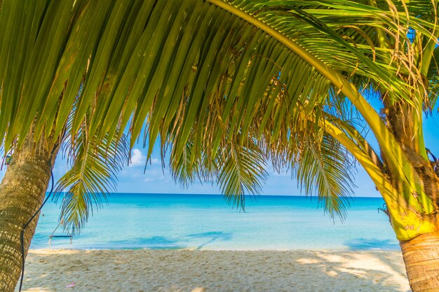 Hermosa playa tropical y mar