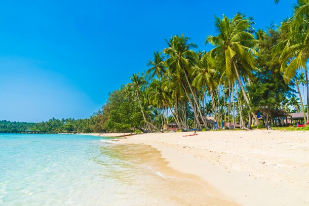 Hermosa playa tropical y mar