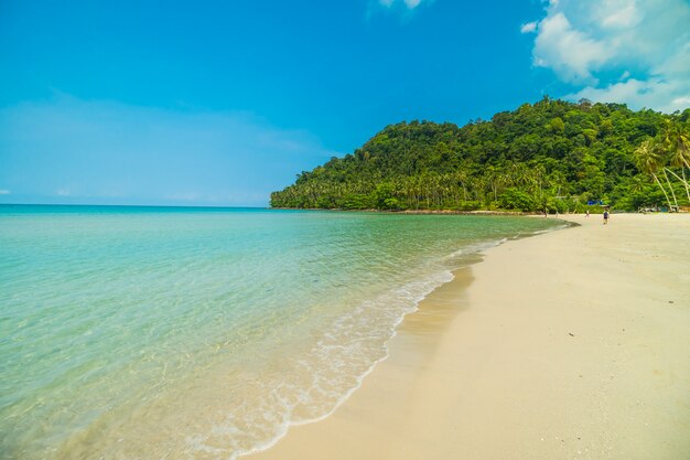 Hermosa playa tropical y mar