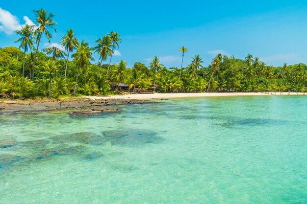 Hermosa playa tropical y mar