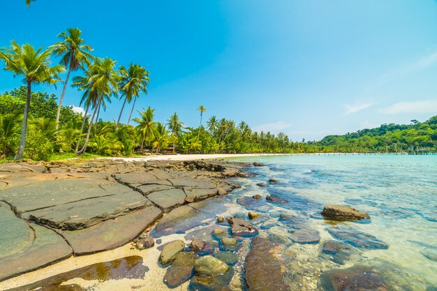 Hermosa playa tropical y mar