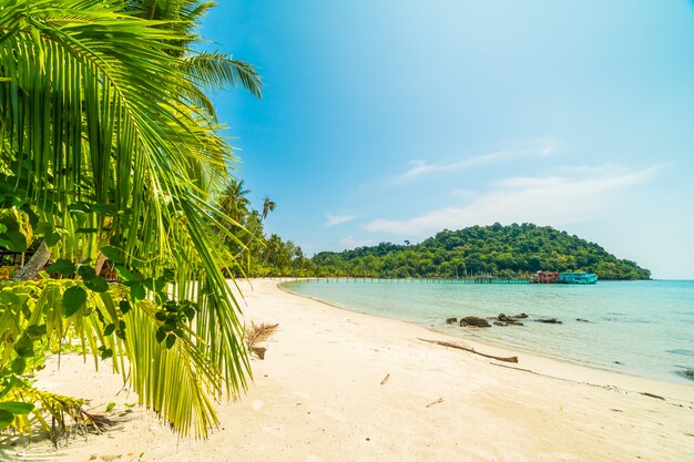 Hermosa playa tropical y mar