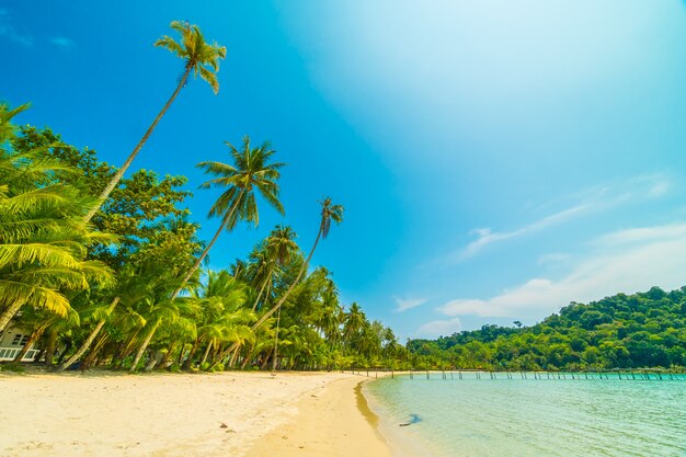 Hermosa playa tropical y mar