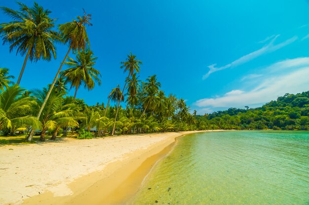 Hermosa playa tropical y mar