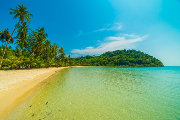 Hermosa playa tropical y mar