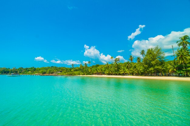 Hermosa playa tropical y mar