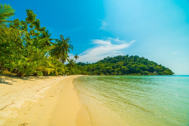 Hermosa playa tropical y mar