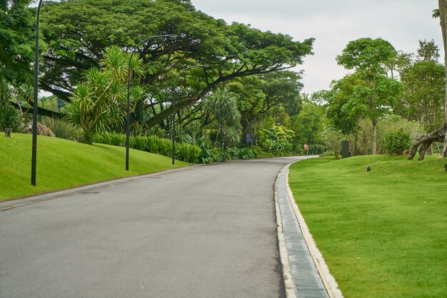 hermosa primavera de plantas verdes al aire libre