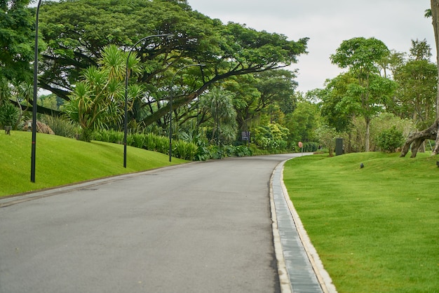 hermosa primavera de plantas verdes al aire libre