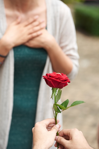 Hermosa propuesta romántica