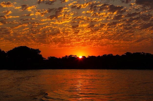 Hermosa puesta de sol en el norte de Pantanal, los humedales más grandes del mundo. Brasil salvaje, vida silvestre brasileña y naturaleza, paisaje increíble junto al río junto al barco.