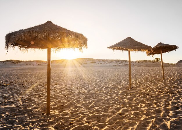 Hermosa puesta de sol en la playa con sombrillas