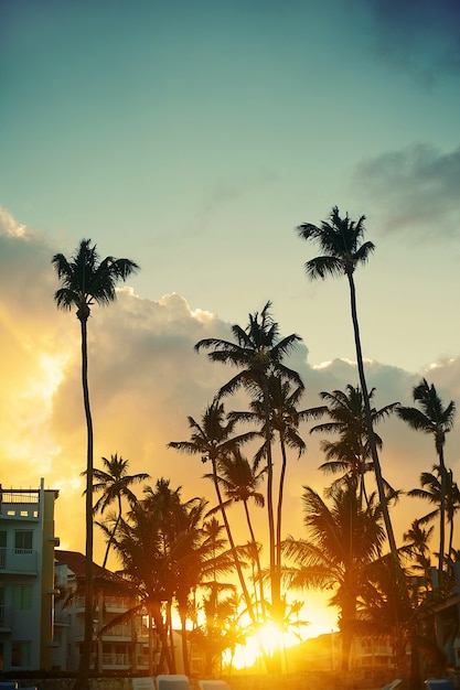 Hermosa puesta de sol en un resort de playa en el trópico