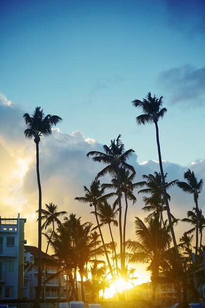 Hermosa puesta de sol en un resort de playa en el trópico