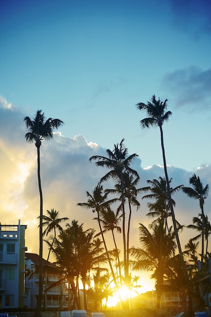 Hermosa puesta de sol en un resort de playa en el trópico