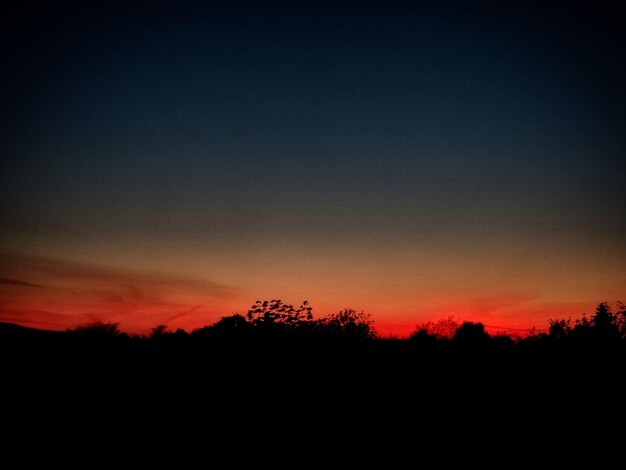 Hermosa puesta de sol sobre la silueta de un bosque