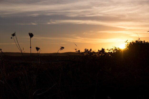 Hermosa puesta de sol