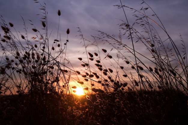 Foto gratuita hermosa puesta de sol