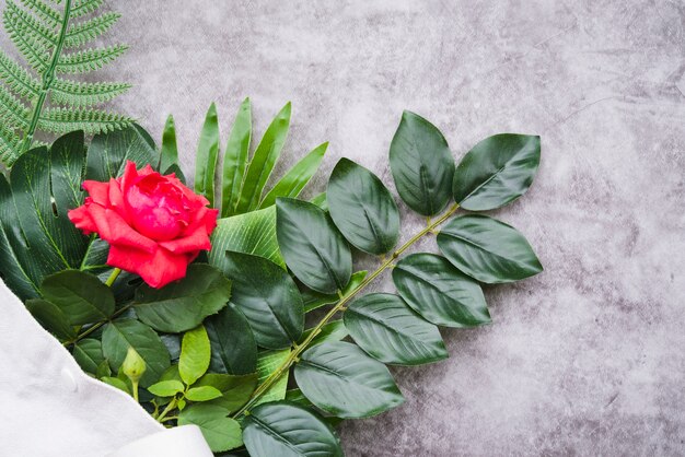 Hermosa rosa roja en ramitas verdes sobre el fondo de granito